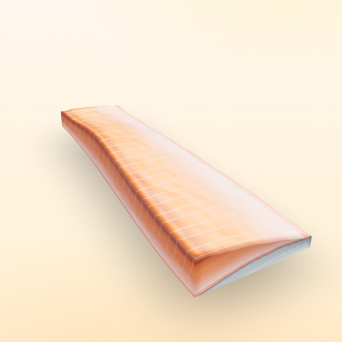 Procedurally generated salmon fillet with myotome banding